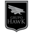 Logo_hawk