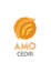 Logo_cedir_new