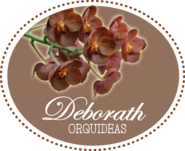 Logo_orquidea